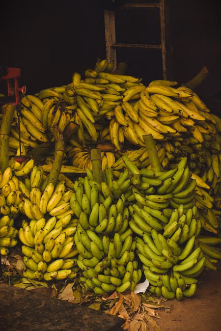 Coxão Mole (kg)